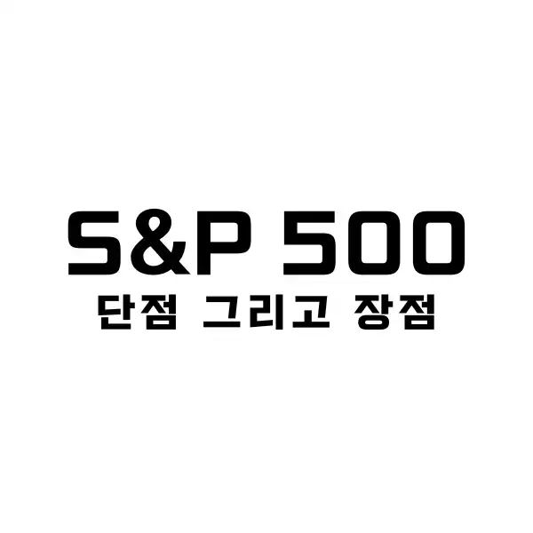 S&P 500 ETF 단점