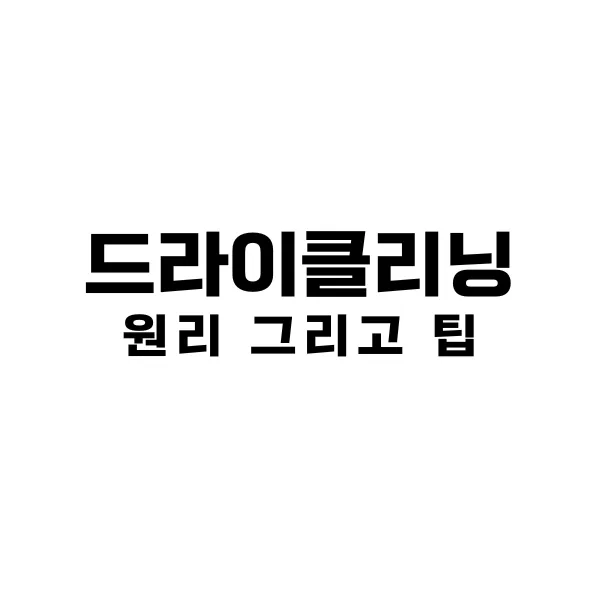 드라이클리닝 원리