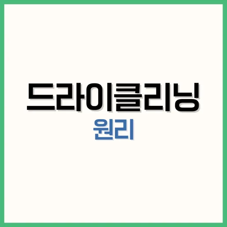 드라이클리닝하면안되는옷