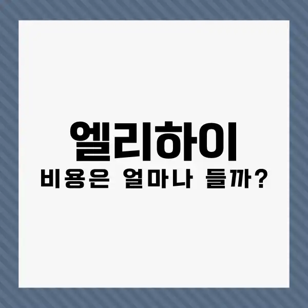 엘리하이 비용