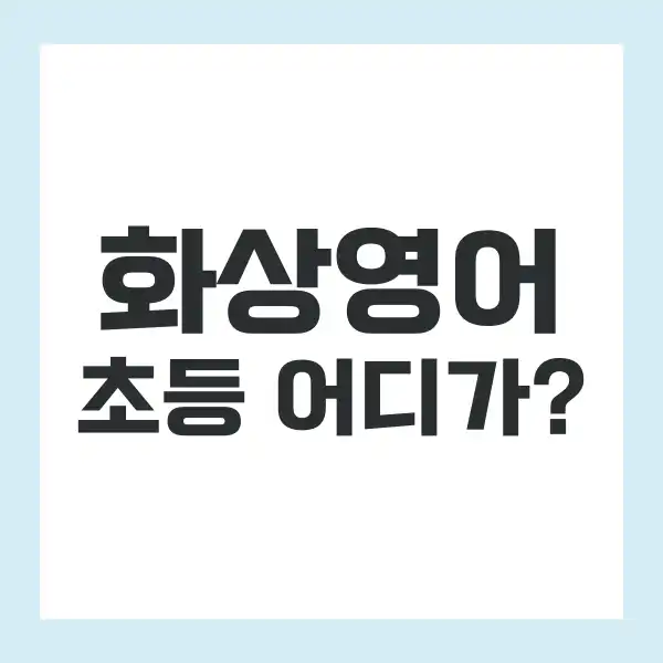 초등 화상영어 순위