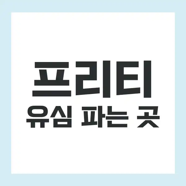 프리티 유심 파는곳