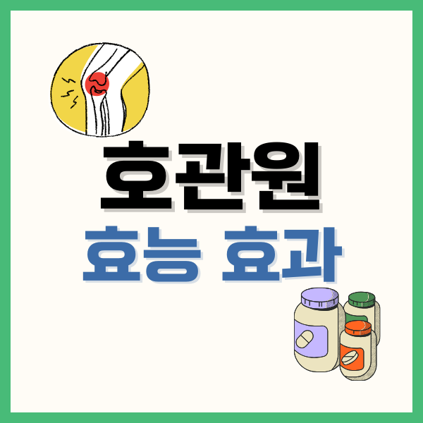 삼세페