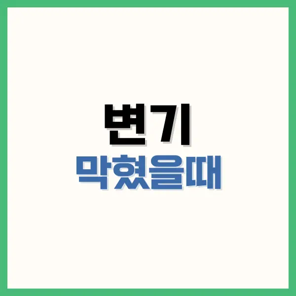 변기 막혔을때