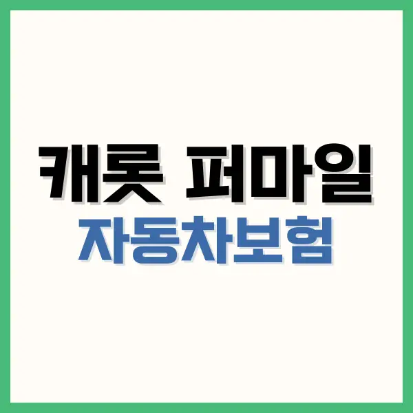핀크 비상금대출
