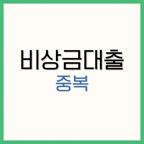 핀크 비상금대출