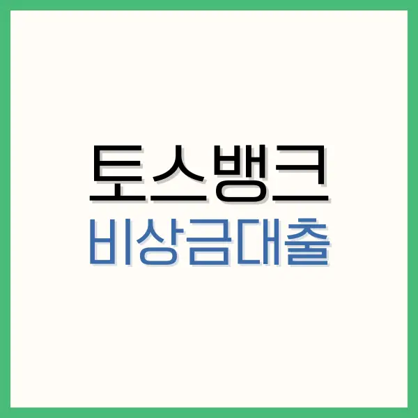 핀크 비상금대출