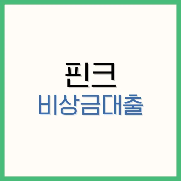 핀크 비상금대출
