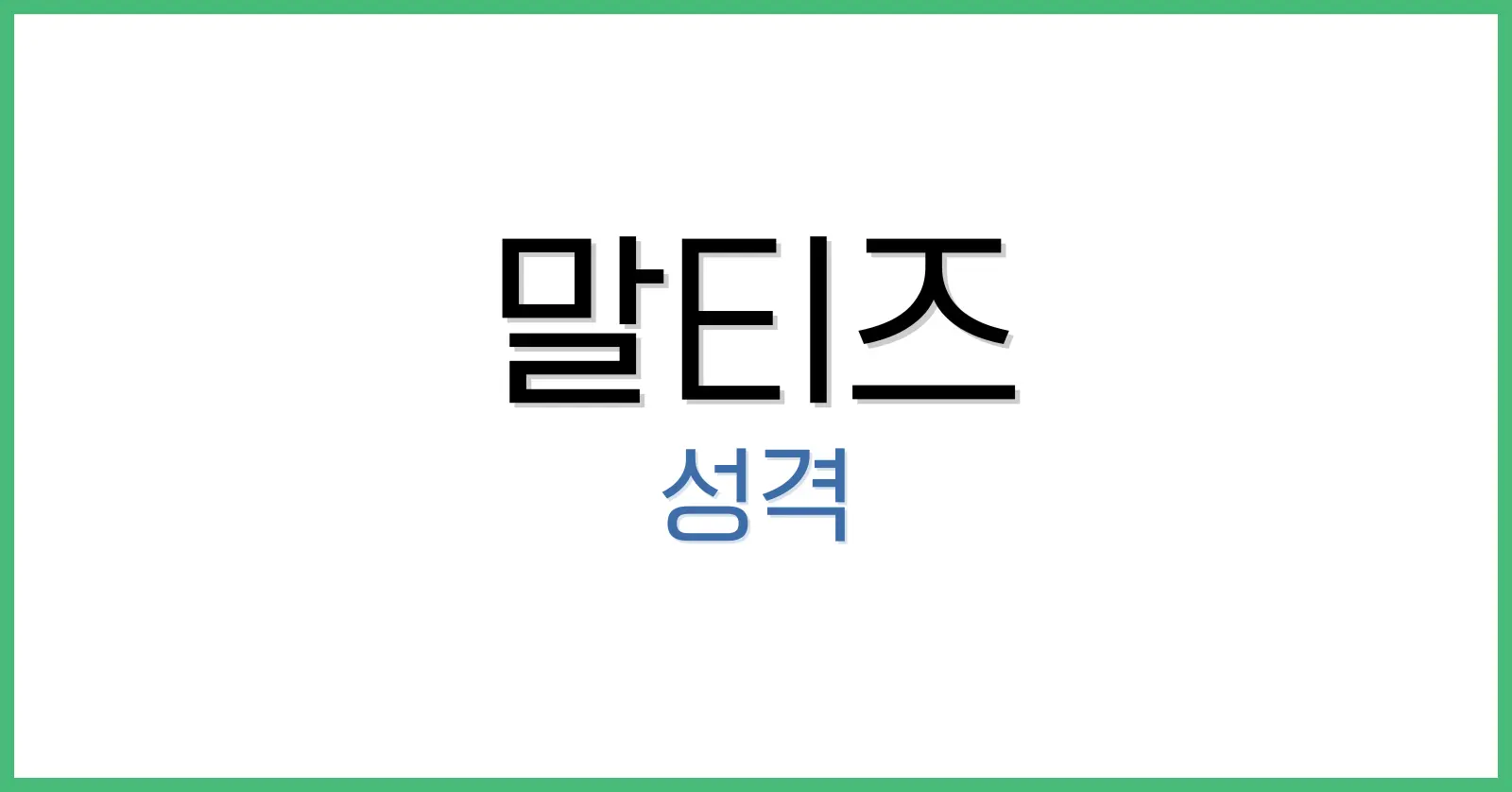 말티즈성격더러운이유