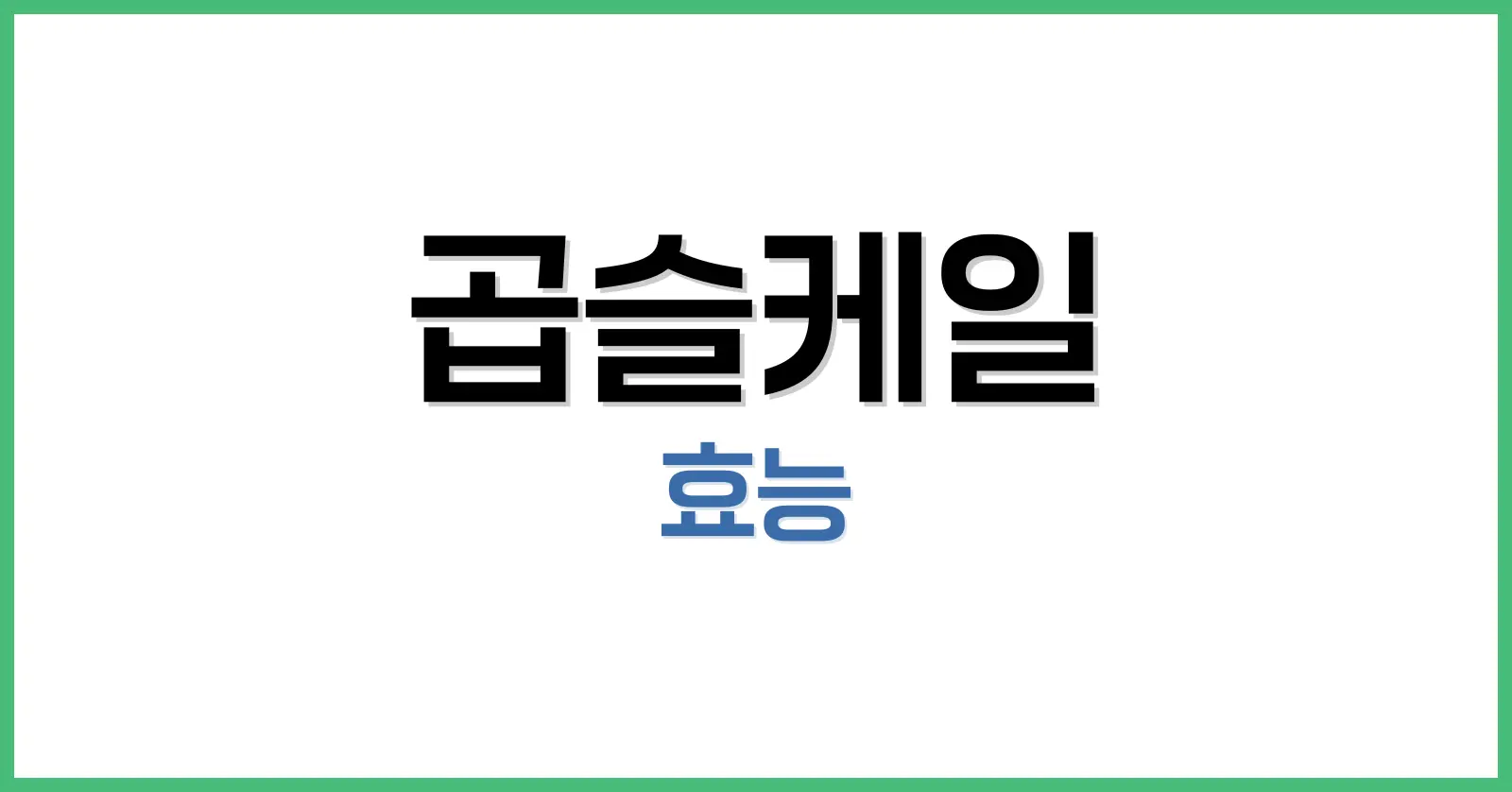 곱슬케일이란? 일반 케일과의 차이점