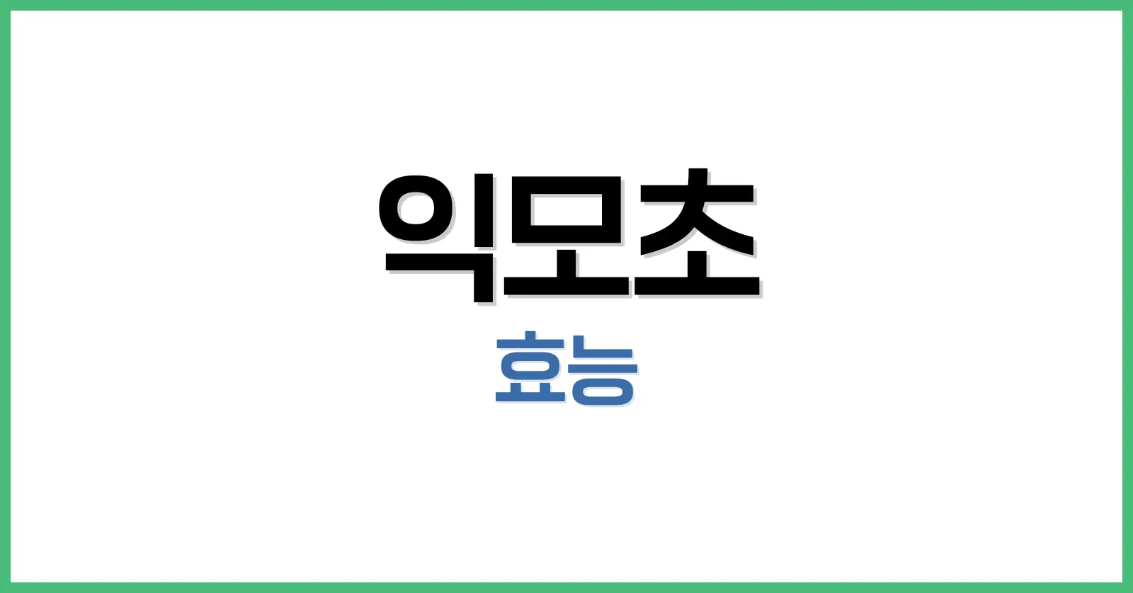 익모초 효능 완벽 정리 – 여성 건강을 위한 자연의 선물 1 익모초 효능