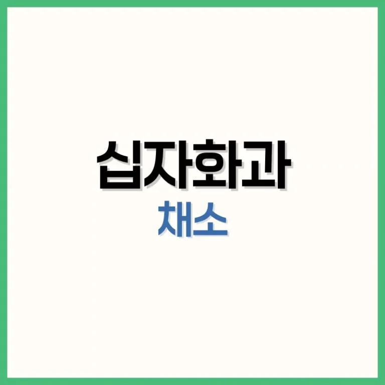 십자화과채소종류