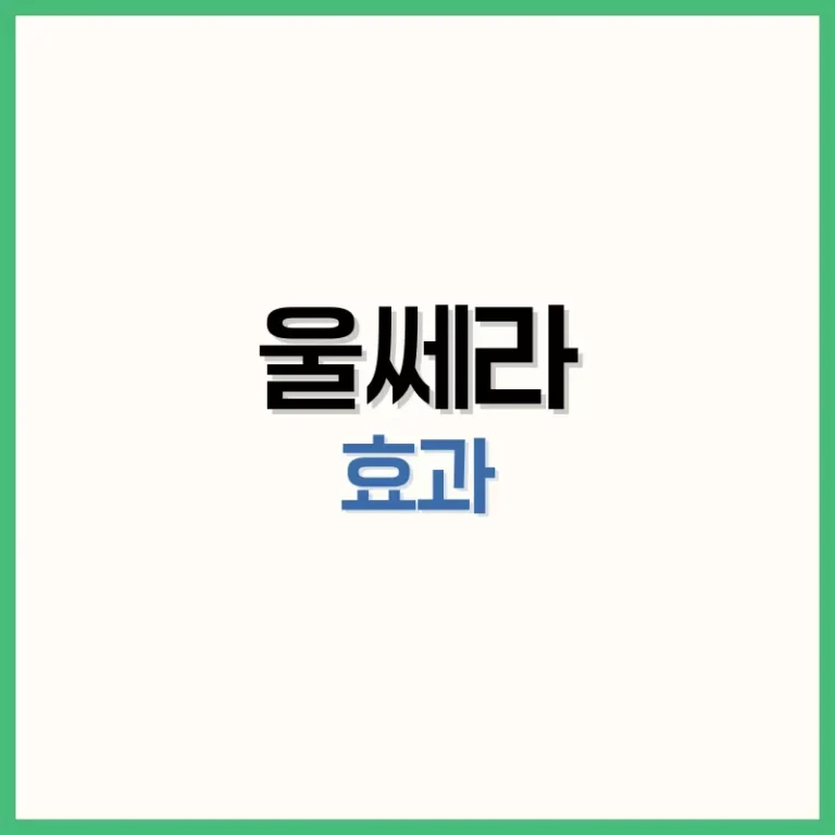 울쎄라후기