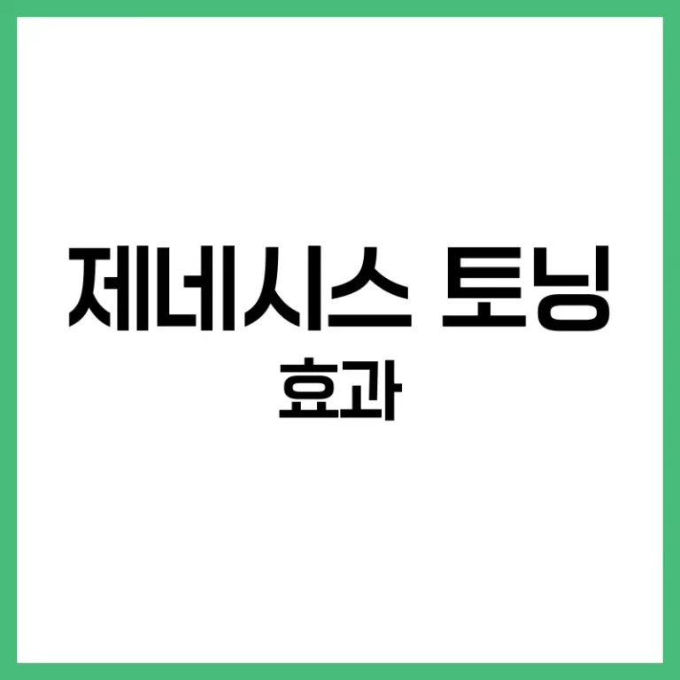 제네시스토닝효과