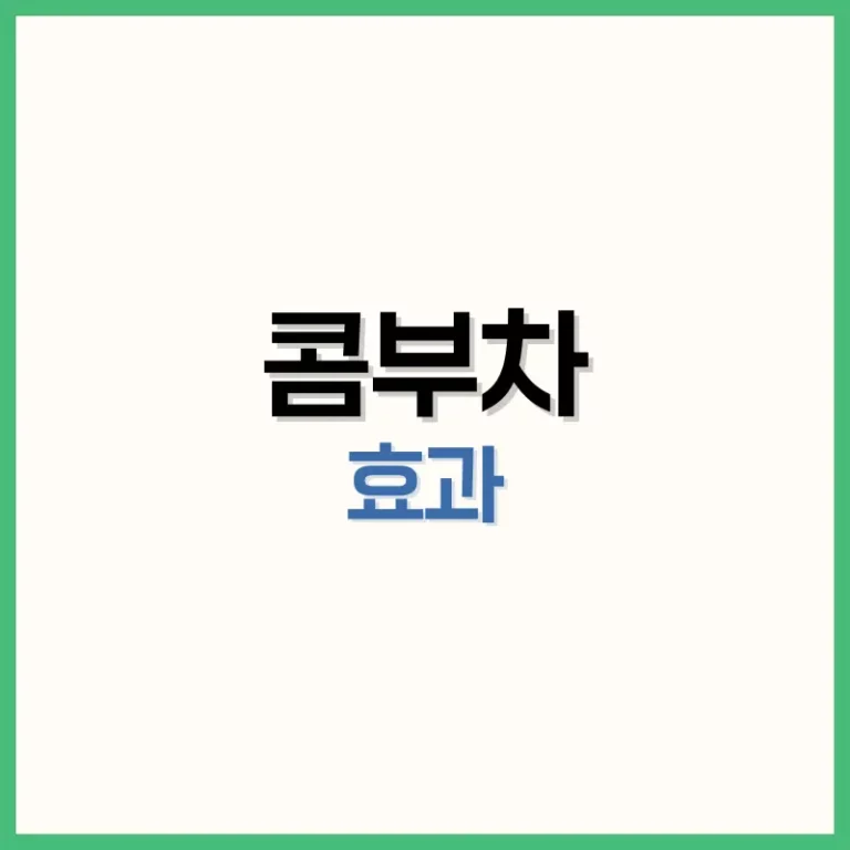 콤부차효능