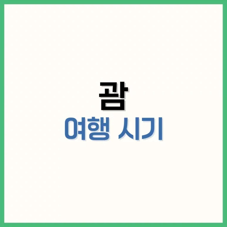 괌여행