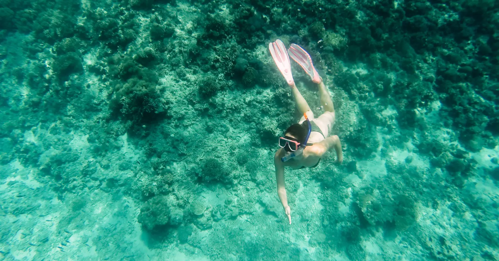 세부 1월 날씨 정리 | 수영·여행·축제·기온·초중말 날씨 총정리 6 세부 1월 여행 팁: 항공·숙소·복장·활동