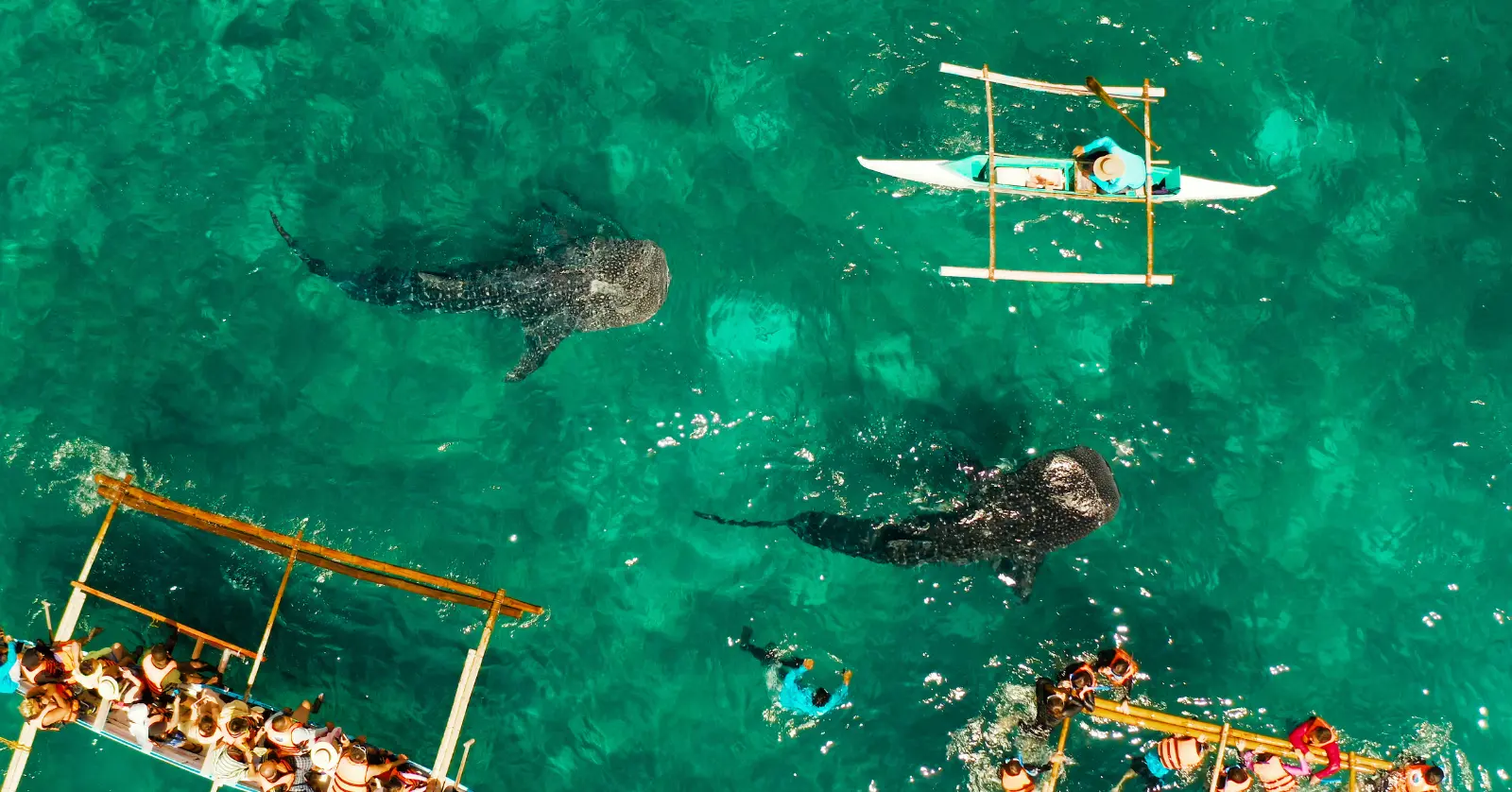 세부 1월 날씨 정리 | 수영·여행·축제·기온·초중말 날씨 총정리 2 세부 1월 초 날씨: 건기 초입, 맑고 따뜻한 기온