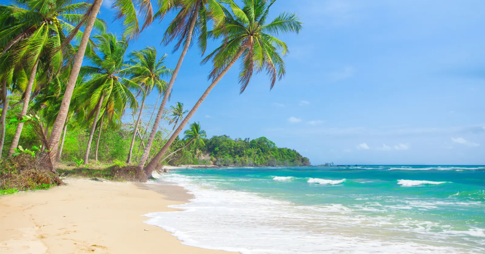 세부 1월 날씨 정리 | 수영·여행·축제·기온·초중말 날씨 총정리 1 세부 1월 날씨 개요: 평균 기온·습도·강수량