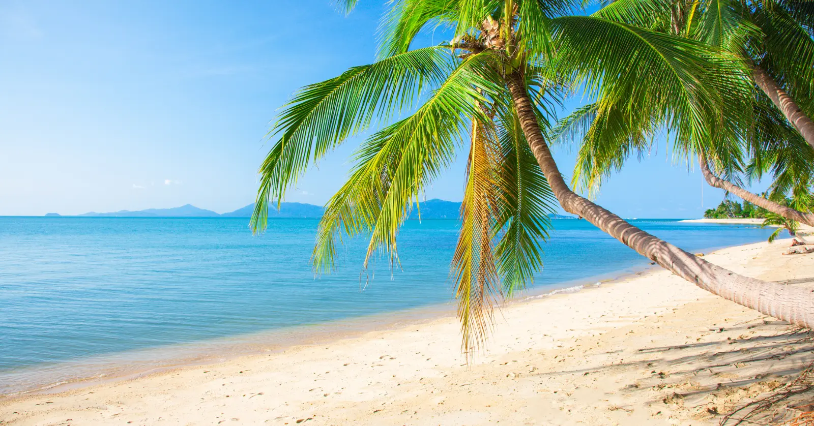 세부 1월 날씨 정리 | 수영·여행·축제·기온·초중말 날씨 총정리 4 세부 1월 말 날씨: 하늘이 가장 맑고 수영하기 좋은 시기