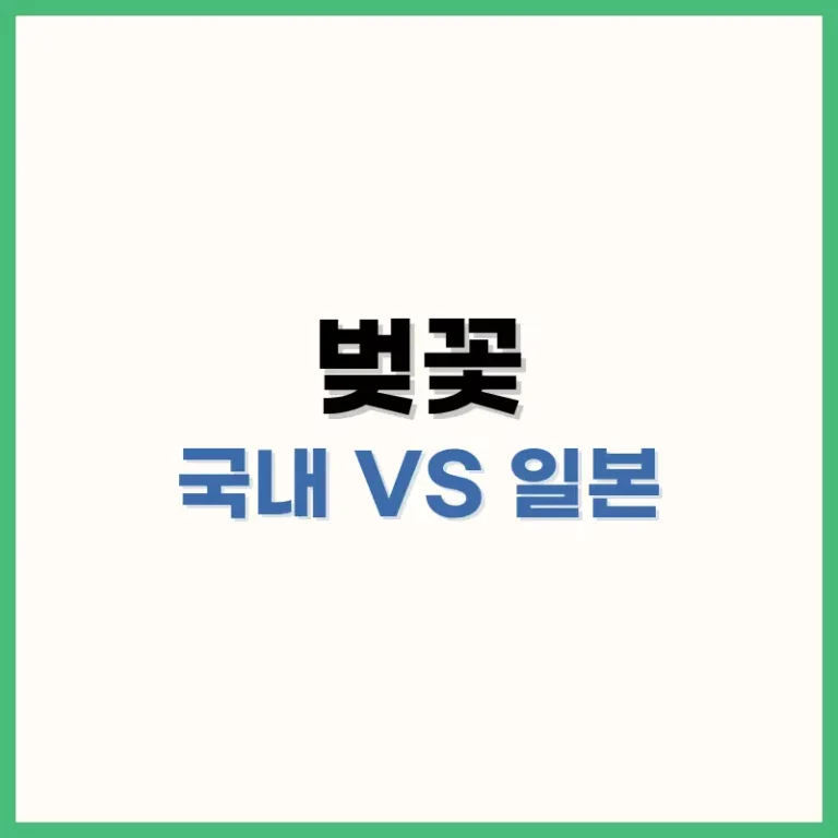 국내 벚꽃 vs 일본 벚꽃 비교, 어디로 떠날까? 명소부터 개화시기까지 완벽 가이드 3 벚꽃