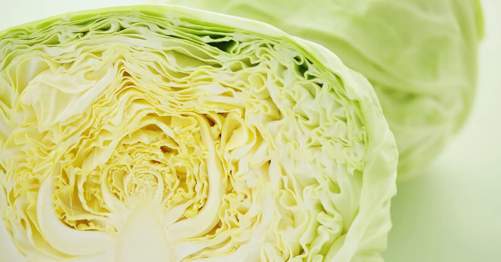 카베진 복용법 및 효능 부작용 총정리: 2026 최신 가격과 효과 극대화 팁 7가지 4 4. 카베진 부작용 및 주의사항 (필독)