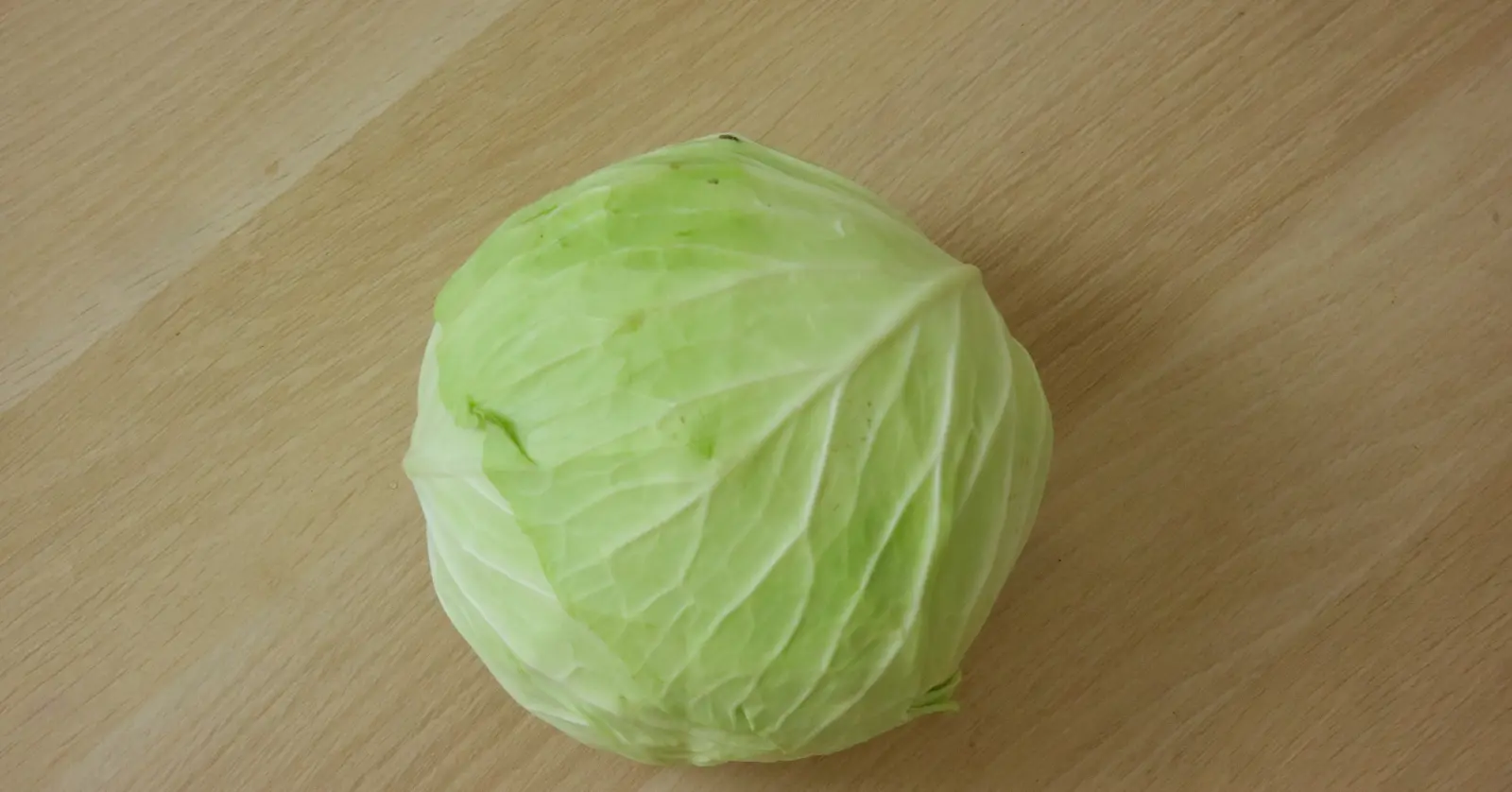 카베진 복용법 및 효능 부작용 총정리: 2026 최신 가격과 효과 극대화 팁 7가지 3 3. 실패 없는 카베진 복용법 (연령별/상황별 가이드)